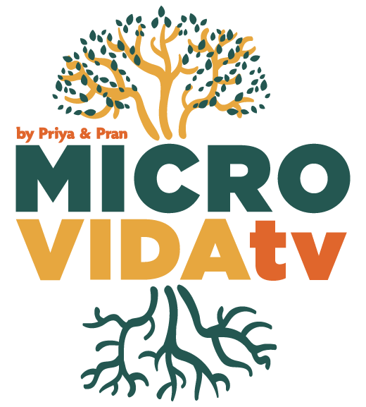 MicroVidaTV — logo, un árbol con raíces